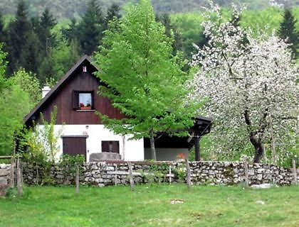 Pocitniska Hiska Jager Cezsoca别墅 外观 照片
