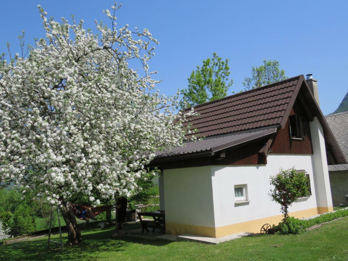 Pocitniska Hiska Jager Cezsoca别墅 外观 照片